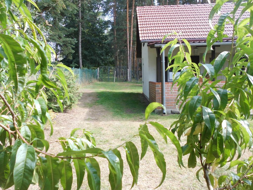 Apartment Wald&wiesengefluster Zechlinerhutte