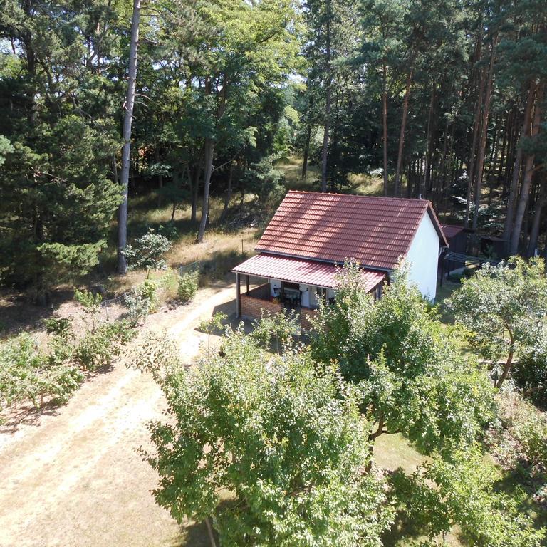 Wald&wiesengefluster Zechlinerhutte