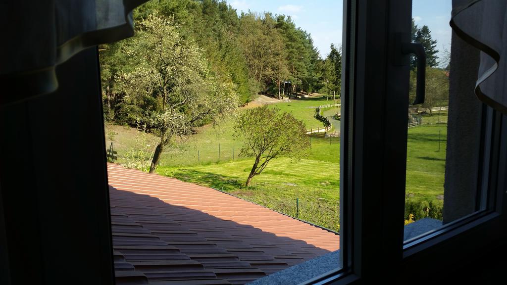 Wald&wiesengefluster Zechlinerhutte