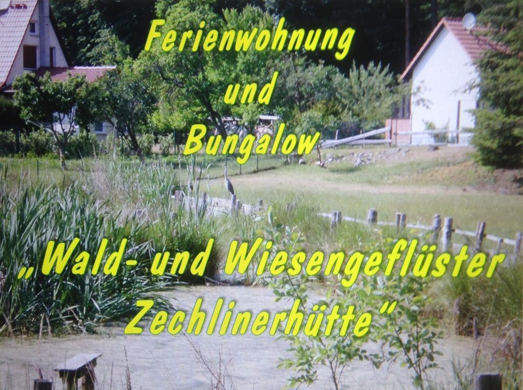 Wald&wiesengefluster Zechlinerhutte Rheinsberg