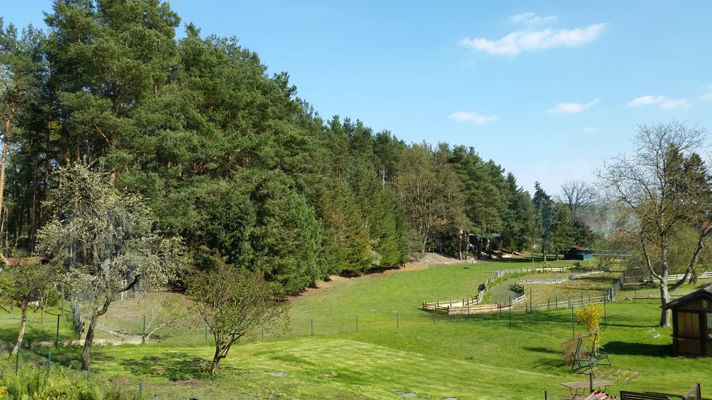 Wald&wiesengefluster Zechlinerhutte * Rheinsberg